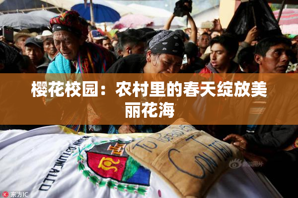 樱花校园：农村里的春天绽放美丽花海