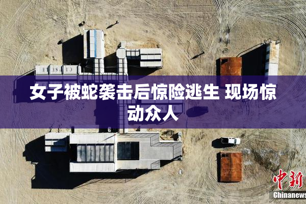 女子被蛇袭击后惊险逃生 现场惊动众人