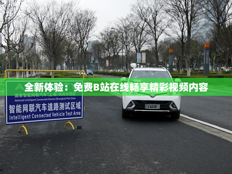 全新体验：免费B站在线畅享精彩视频内容