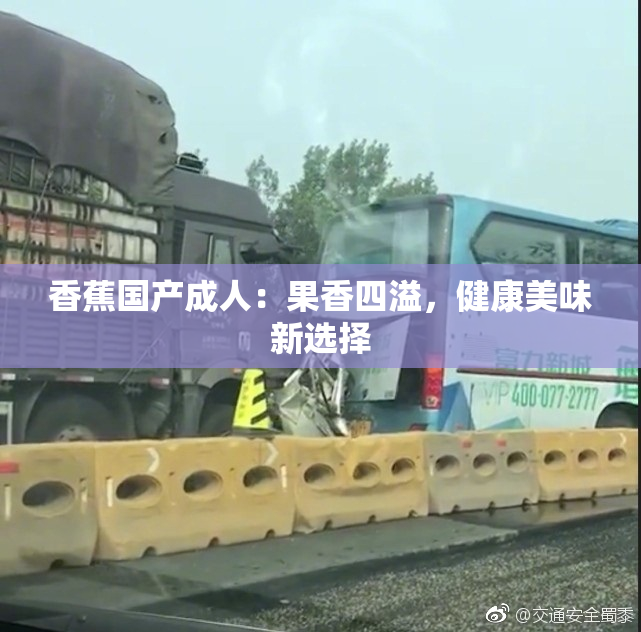 香蕉国产成人：果香四溢，健康美味新选择