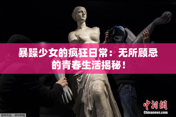 暴躁少女的疯狂日常：无所顾忌的青春生活揭秘！