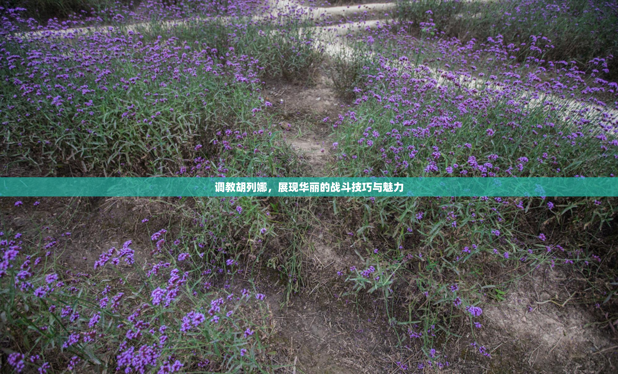 调教胡列娜，展现华丽的战斗技巧与魅力