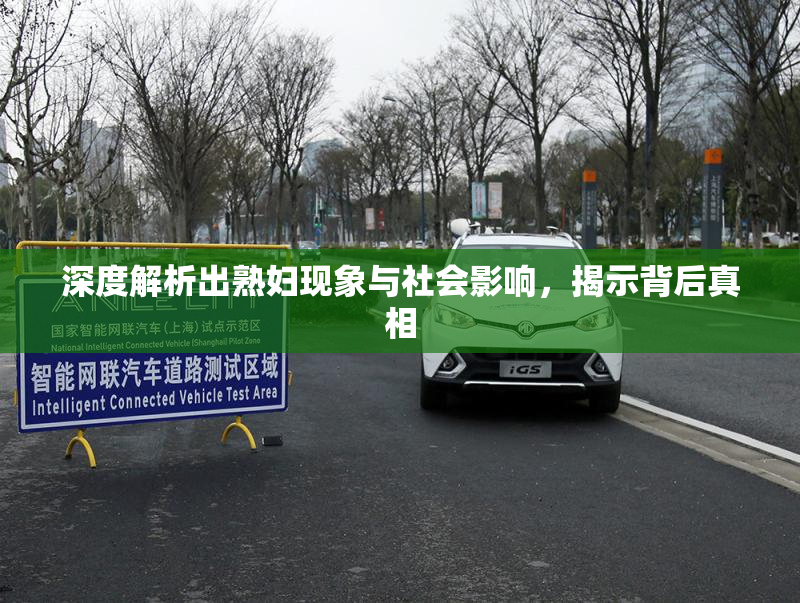 深度解析出熟妇现象与社会影响，揭示背后真相