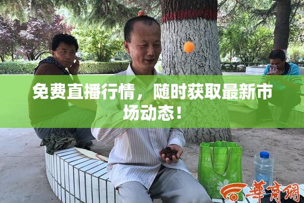免费直播行情，随时获取最新市场动态！