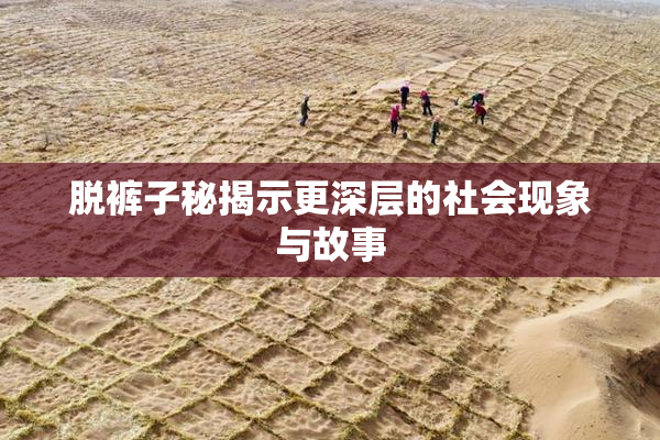脱裤子秘揭示更深层的社会现象与故事