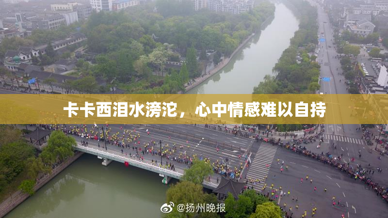 卡卡西泪水滂沱，心中情感难以自持