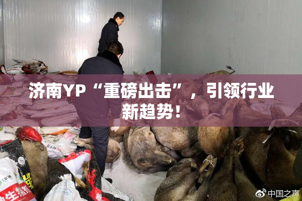 济南YP“重磅出击”，引领行业新趋势！