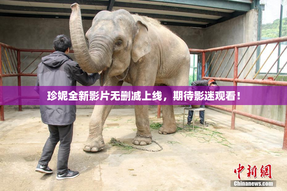 珍妮全新影片无删减上线，期待影迷观看！