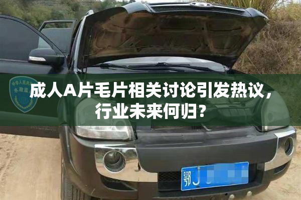 成人A片毛片相关讨论引发热议，行业未来何归？
