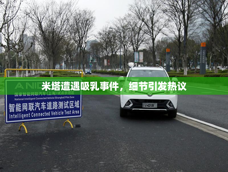 米塔遭遇吸乳事件，细节引发热议