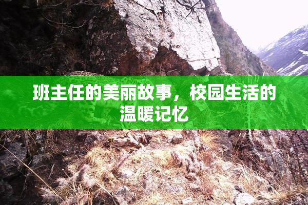 班主任的美丽故事，校园生活的温暖记忆