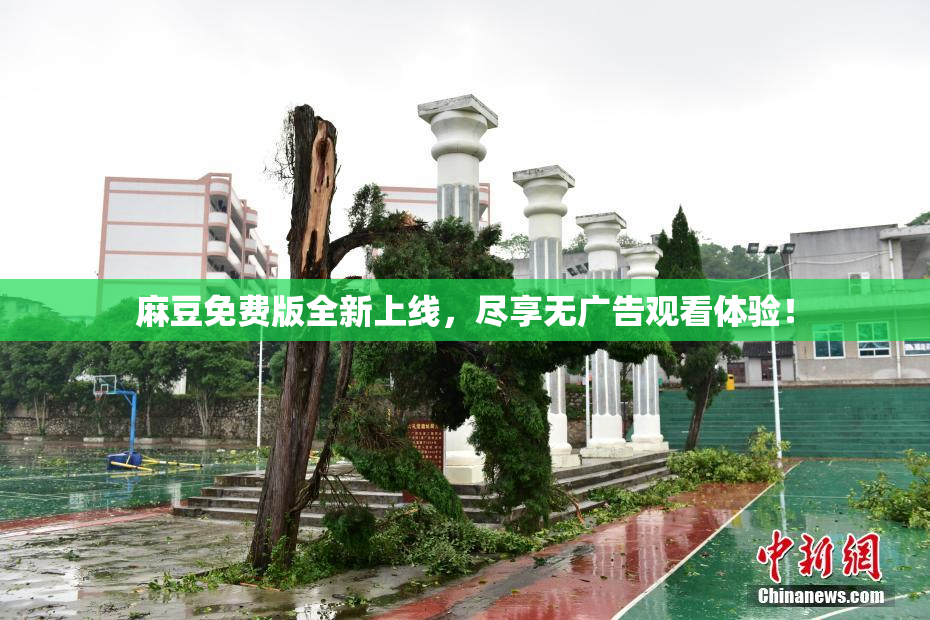 麻豆免费版全新上线，尽享无广告观看体验！