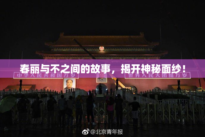 春丽与不之间的故事，揭开神秘面纱！