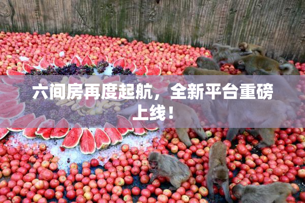 六间房再度起航，全新平台重磅上线！