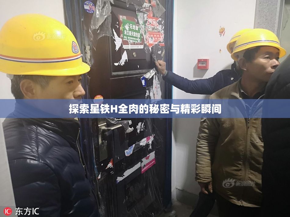 探索星铁H全肉的秘密与精彩瞬间