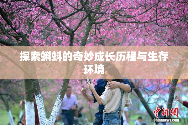 探索蝌蚪的奇妙成长历程与生存环境