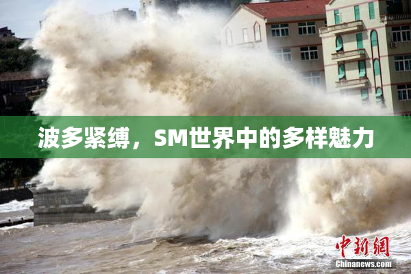 波多紧缚，SM世界中的多样魅力