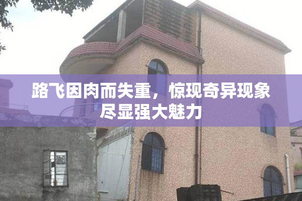 路飞因肉而失重，惊现奇异现象尽显强大魅力