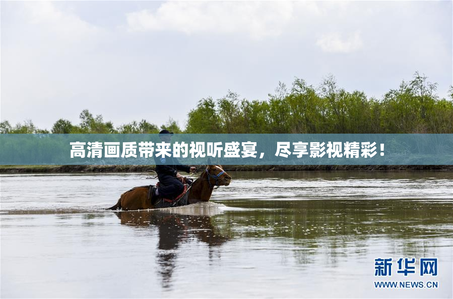 高清画质带来的视听盛宴，尽享影视精彩！