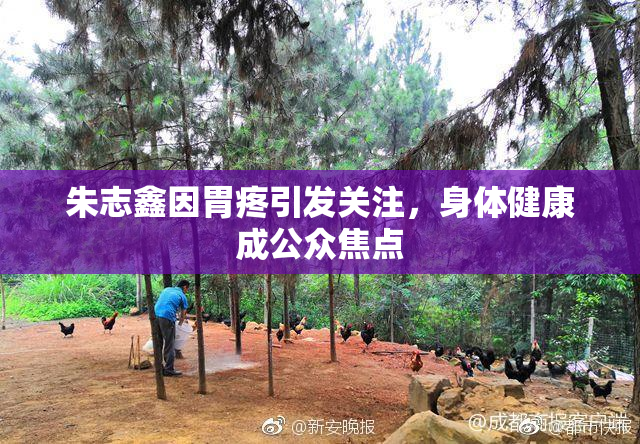 朱志鑫因胃疼引发关注，身体健康成公众焦点