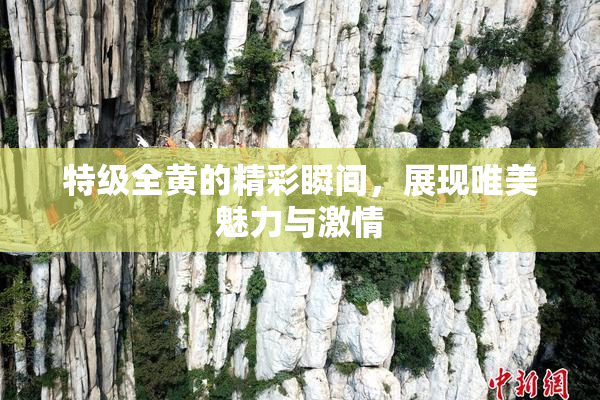 特级全黄的精彩瞬间，展现唯美魅力与激情