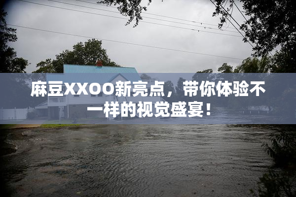 麻豆XXOO新亮点，带你体验不一样的视觉盛宴！