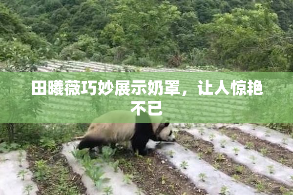 田曦薇巧妙展示奶罩，让人惊艳不已