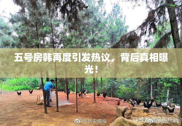 五号房韩再度引发热议，背后真相曝光！