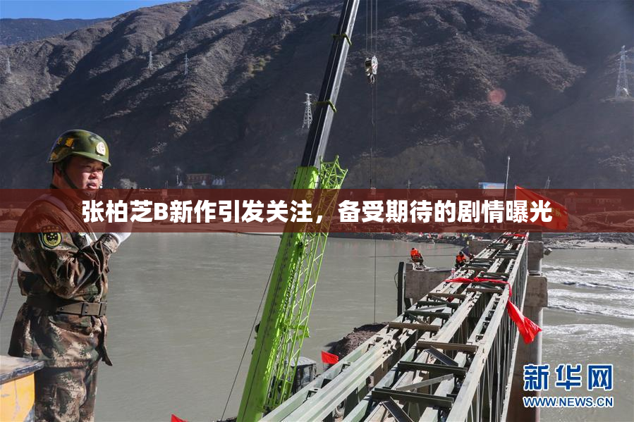 张柏芝B新作引发关注，备受期待的剧情曝光
