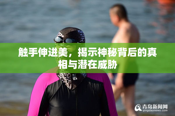触手伸进美，揭示神秘背后的真相与潜在威胁