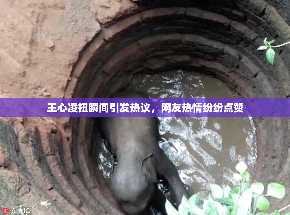 王心凌扭瞬间引发热议，网友热情纷纷点赞
