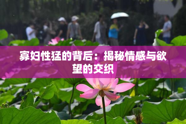 寡妇性猛的背后：揭秘情感与欲望的交织