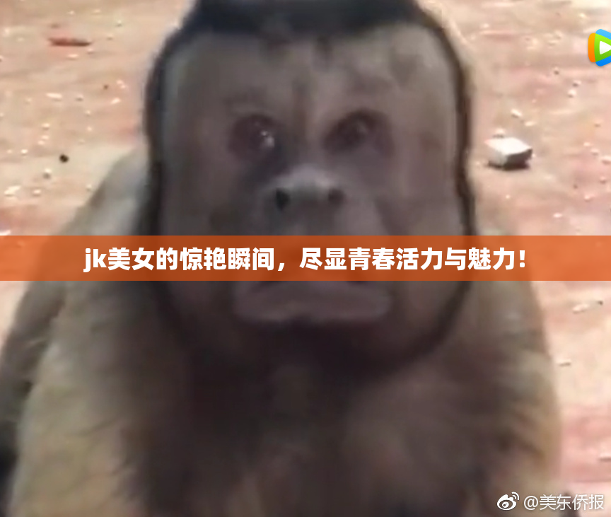 jk美女的惊艳瞬间，尽显青春活力与魅力！