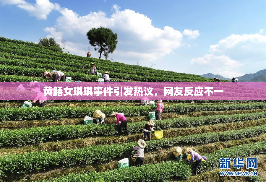 黄鳝女琪琪事件引发热议，网友反应不一