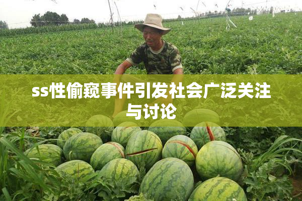 ss性偷窥事件引发社会广泛关注与讨论