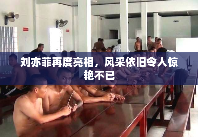 刘亦菲再度亮相，风采依旧令人惊艳不已
