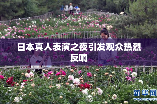 日本真人表演之夜引发观众热烈反响