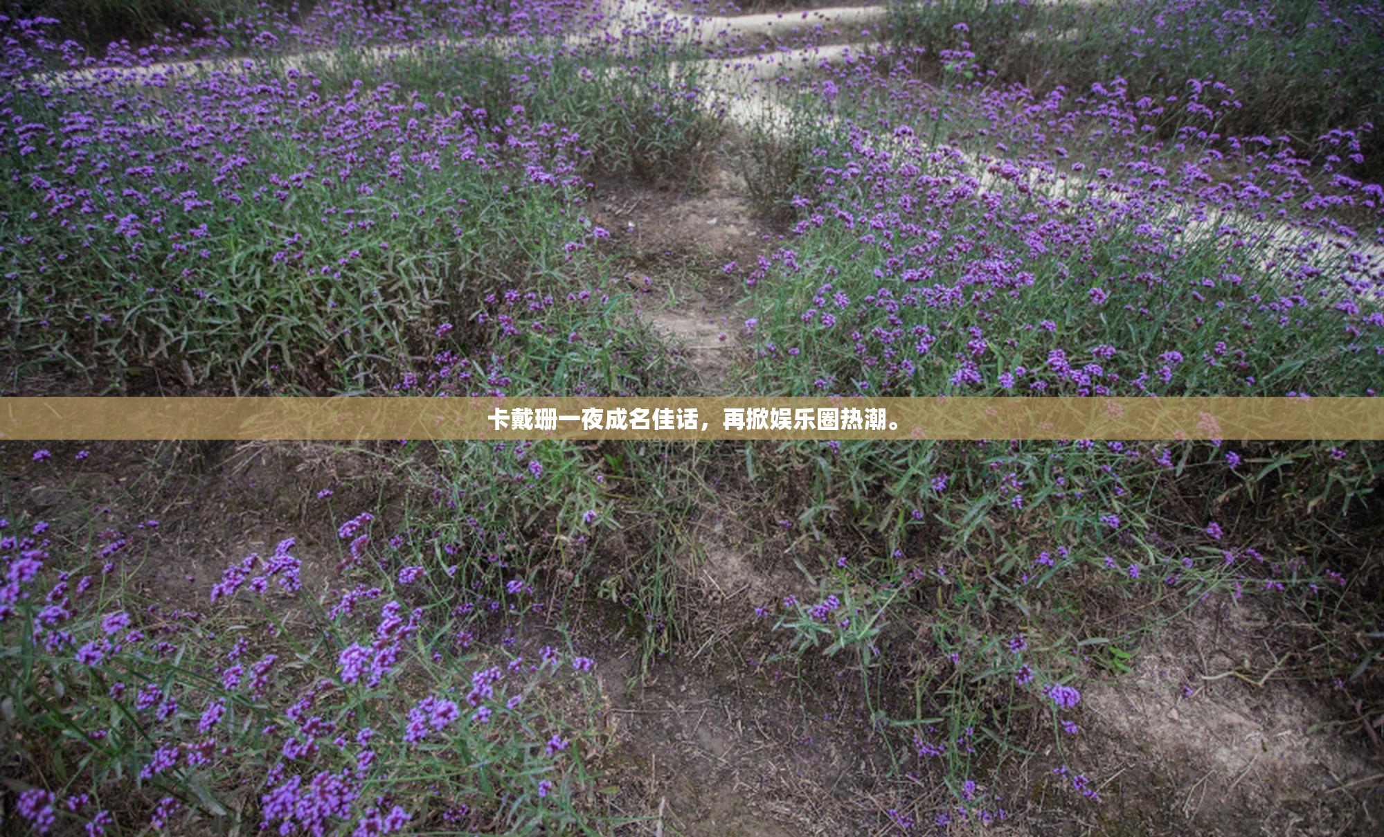 卡戴珊一夜成名佳话，再掀娱乐圈热潮。