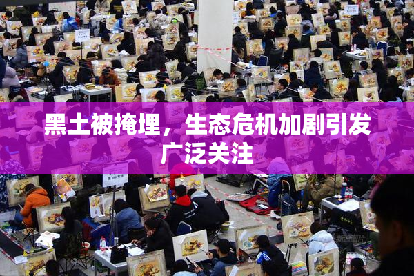 黑土被掩埋，生态危机加剧引发广泛关注