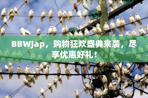 BBWJap，购物狂欢盛典来袭，尽享优惠好礼！