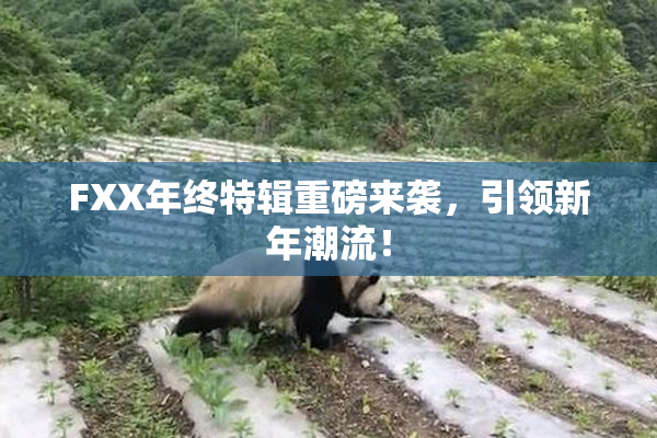 FXX年终特辑重磅来袭，引领新年潮流！