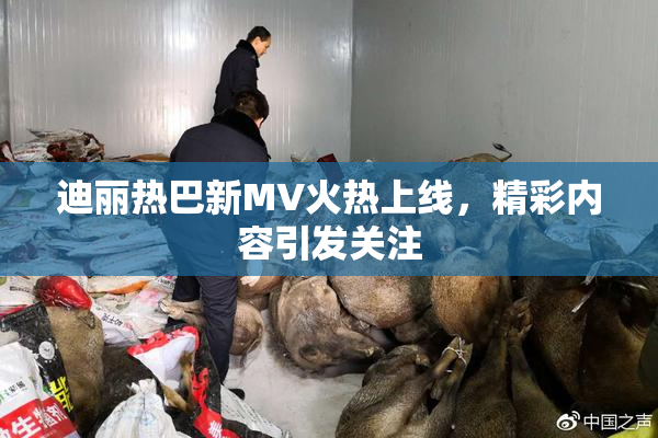 迪丽热巴新MV火热上线，精彩内容引发关注