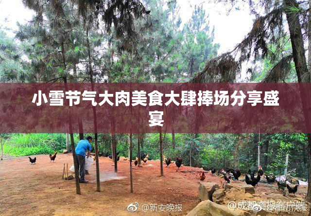小雪节气大肉美食大肆捧场分享盛宴