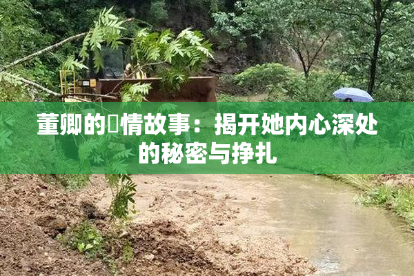 董卿的婬情故事：揭开她内心深处的秘密与挣扎