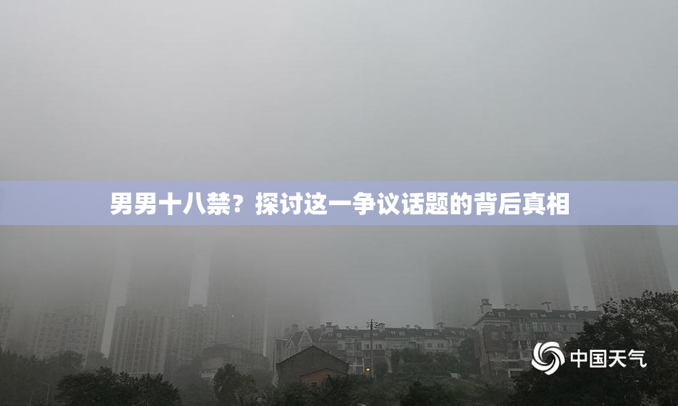 男男十八禁？探讨这一争议话题的背后真相