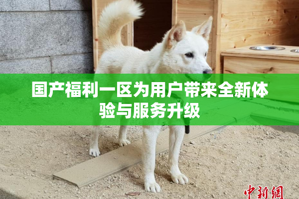 国产福利一区为用户带来全新体验与服务升级