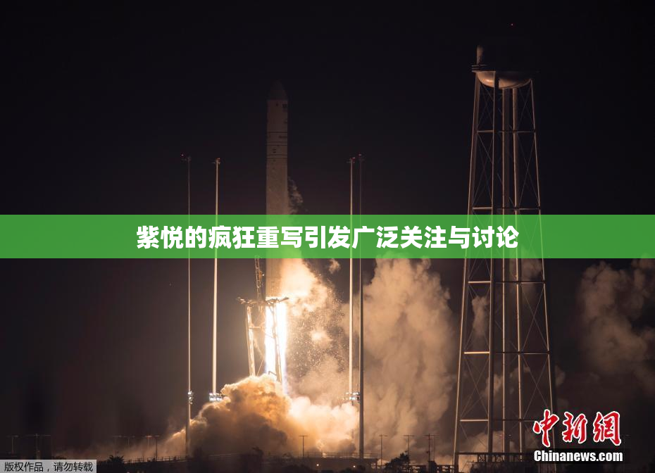 紫悦的疯狂重写引发广泛关注与讨论