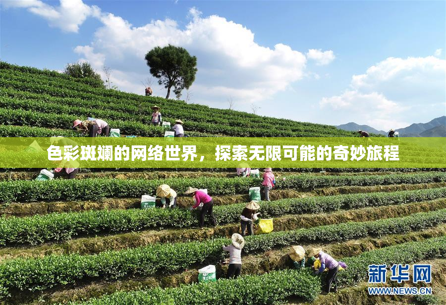 色彩斑斓的网络世界，探索无限可能的奇妙旅程