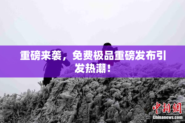 重磅来袭，免费极品重磅发布引发热潮！