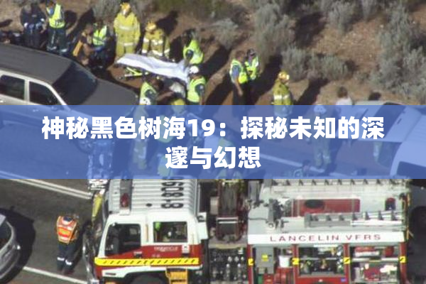 神秘黑色树海19：探秘未知的深邃与幻想